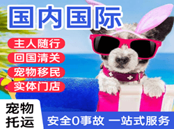 西宁曹家堡机场快运国际宠物托运 【国